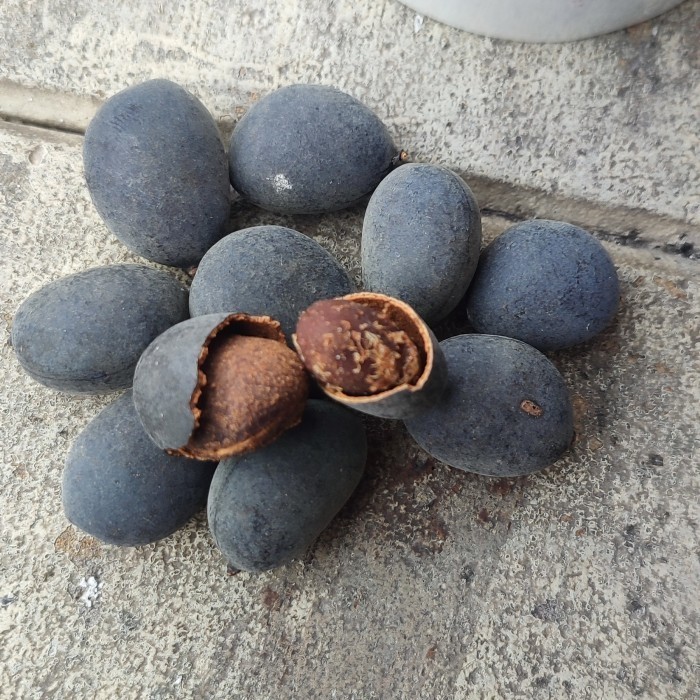 

Ready buah keranji manis 500grm