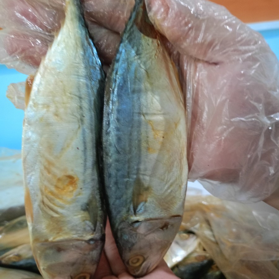 

ikan peda kembung