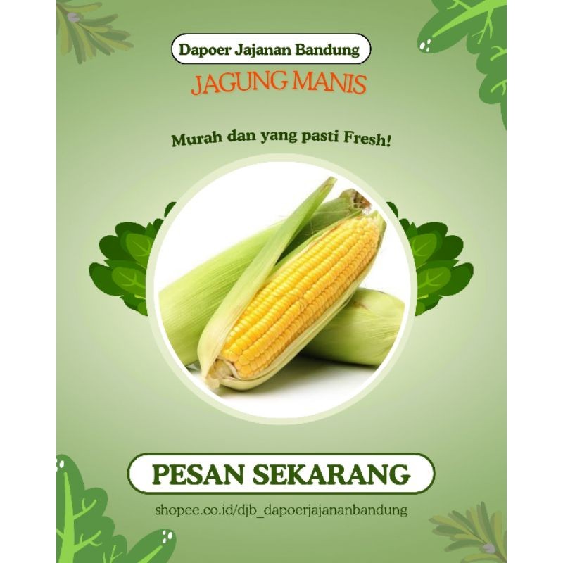 

[ DJB JASTIP ] JAGUNG MANIS DAN JAGUNG BABY Rp. 6.000