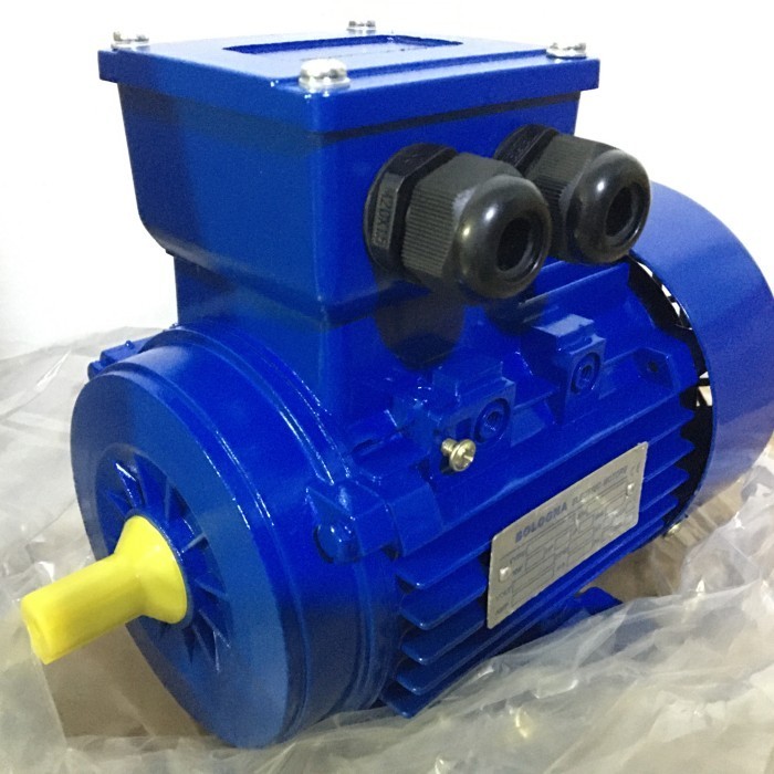 Electric motor BOLOGNA 3phase (Foot) 4pole 0.25-3HP