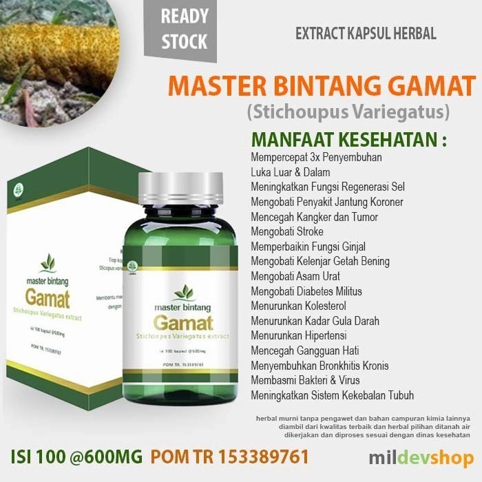 

kapsul Herbal MASTER BINTANG GAMAT Stroke Diabetes Asma kanker Maag