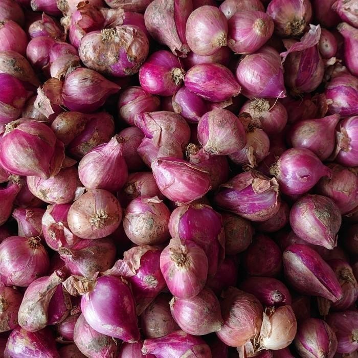 

Bawang Merah Besar Sedang Super Kering ( 500gr ) Farm