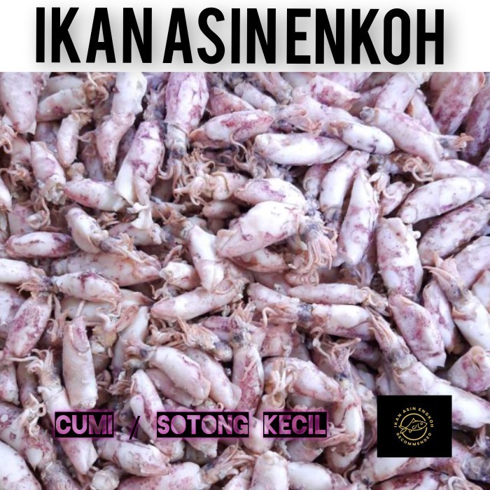 

TERBATAS ikan asin cumi asin sotong frozen/beku 250gr 1/4kg