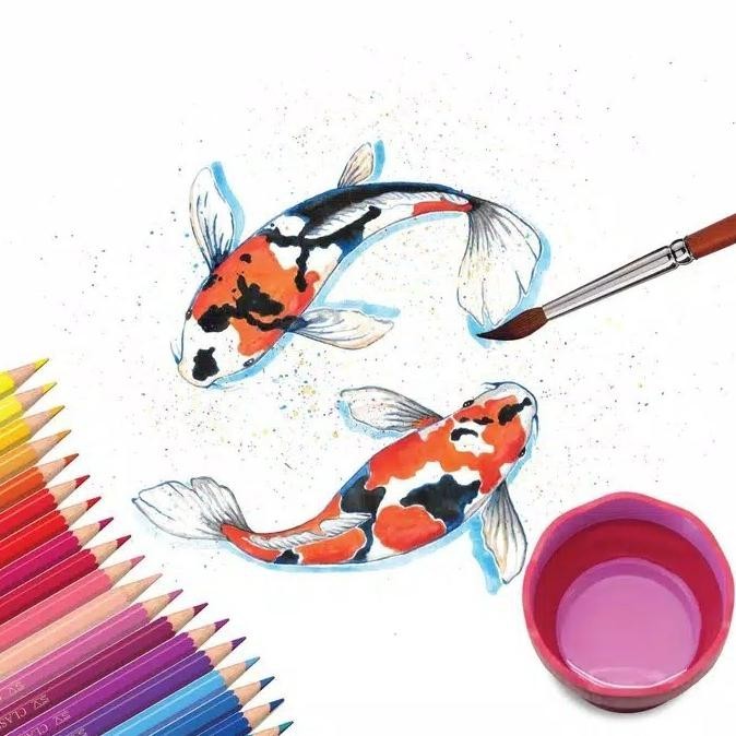 

Pensil Warna Water Colour 48 Faber Castell Free Kuas Dan Rautan