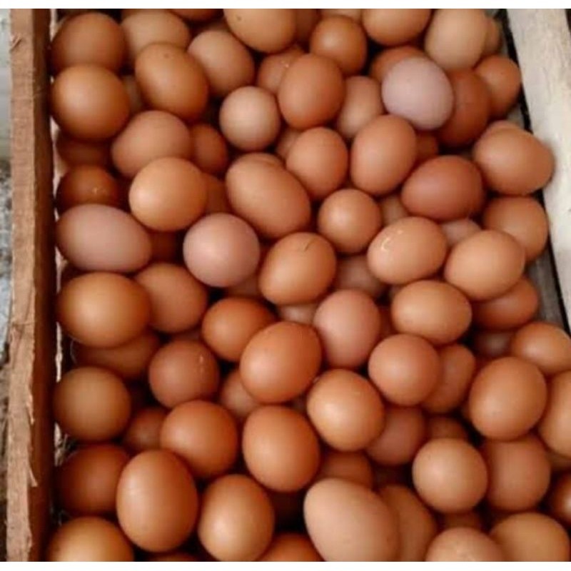 

Telur Ayam Negeri 1 Kg