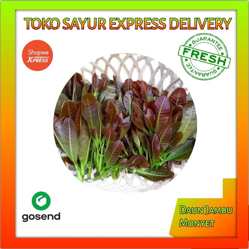 

Lalapan Jambu monyet Per Ikat - Sayur Fresh Palembang