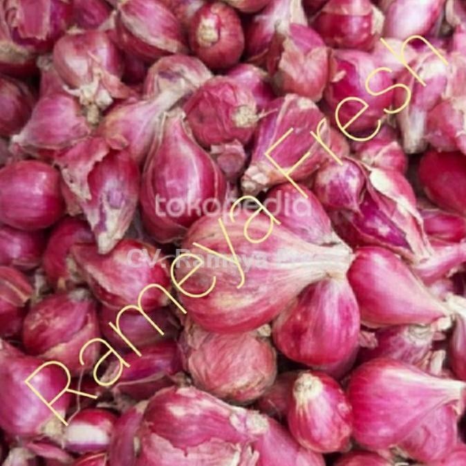 

Bawang Merah Brebes 1Kg 1 Kg