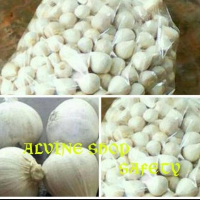 

bawang putih tunggal/bawang lanang