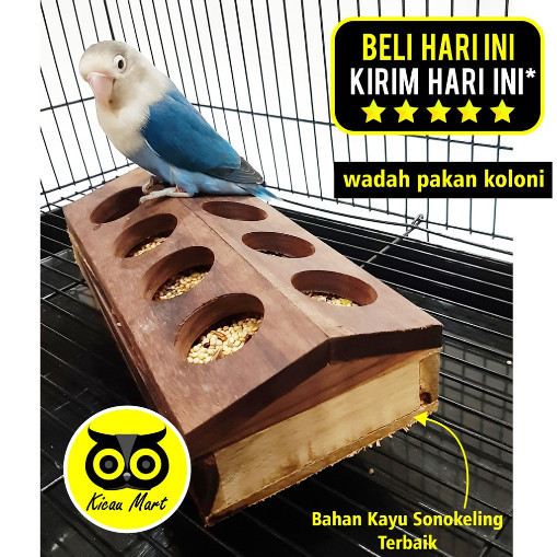 Terlaris Wadah Pakan Koloni Kotak Kayu Tempat Makan Burung Lovebird Ternak Anti