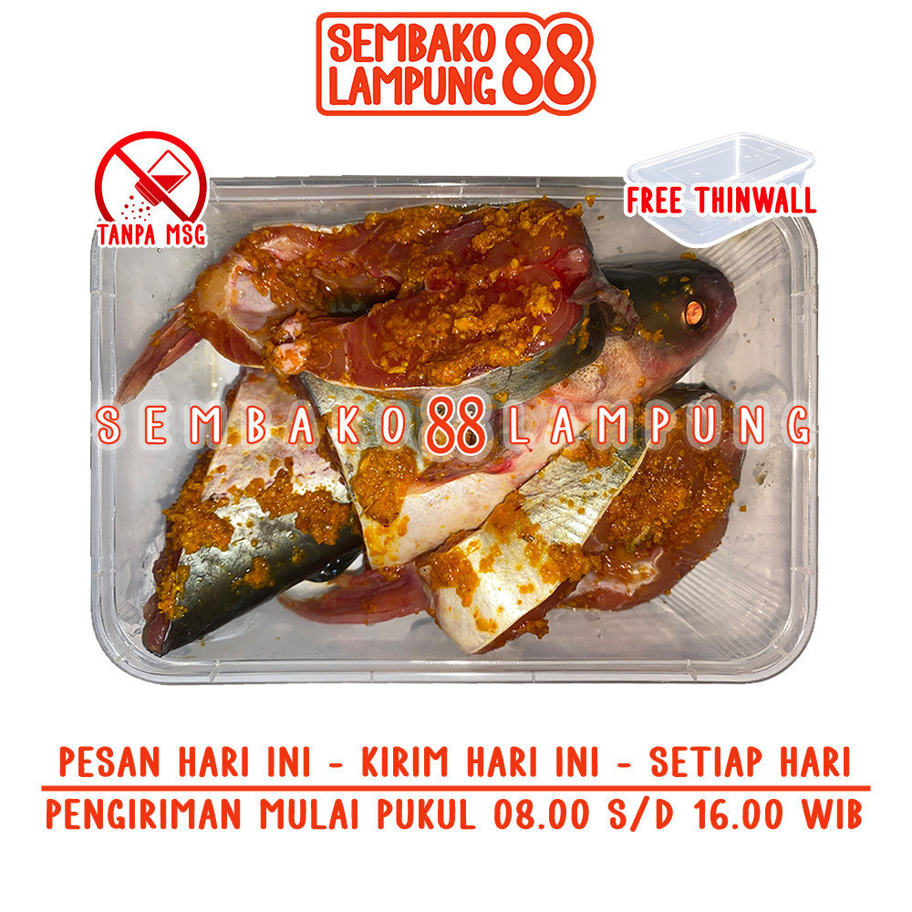 

Ikan Patin Bumbu Kuning 500 Gr | Sembako Lampung 88