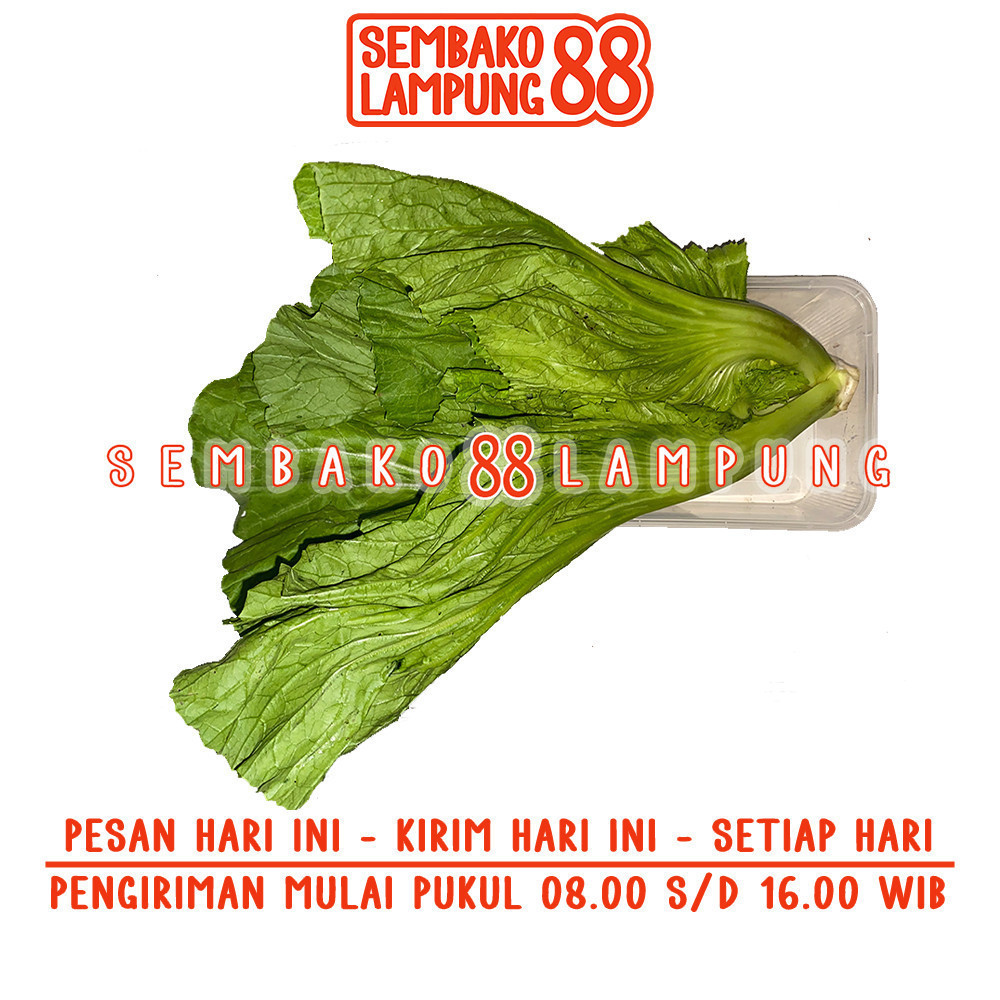 

Sawi Pahit 250 Gr | Sembako Lampung 88