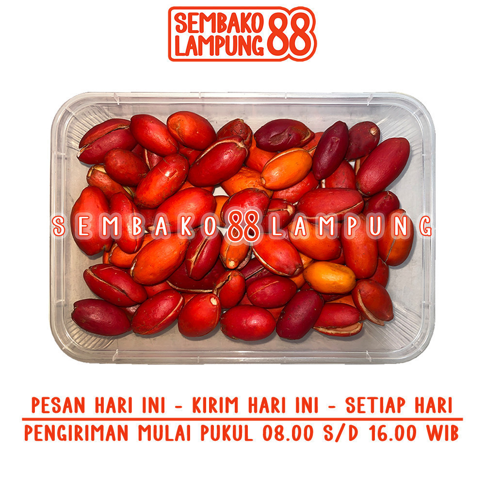 

Kulit Tangkil 150 Gr | Sembako Lampung 88