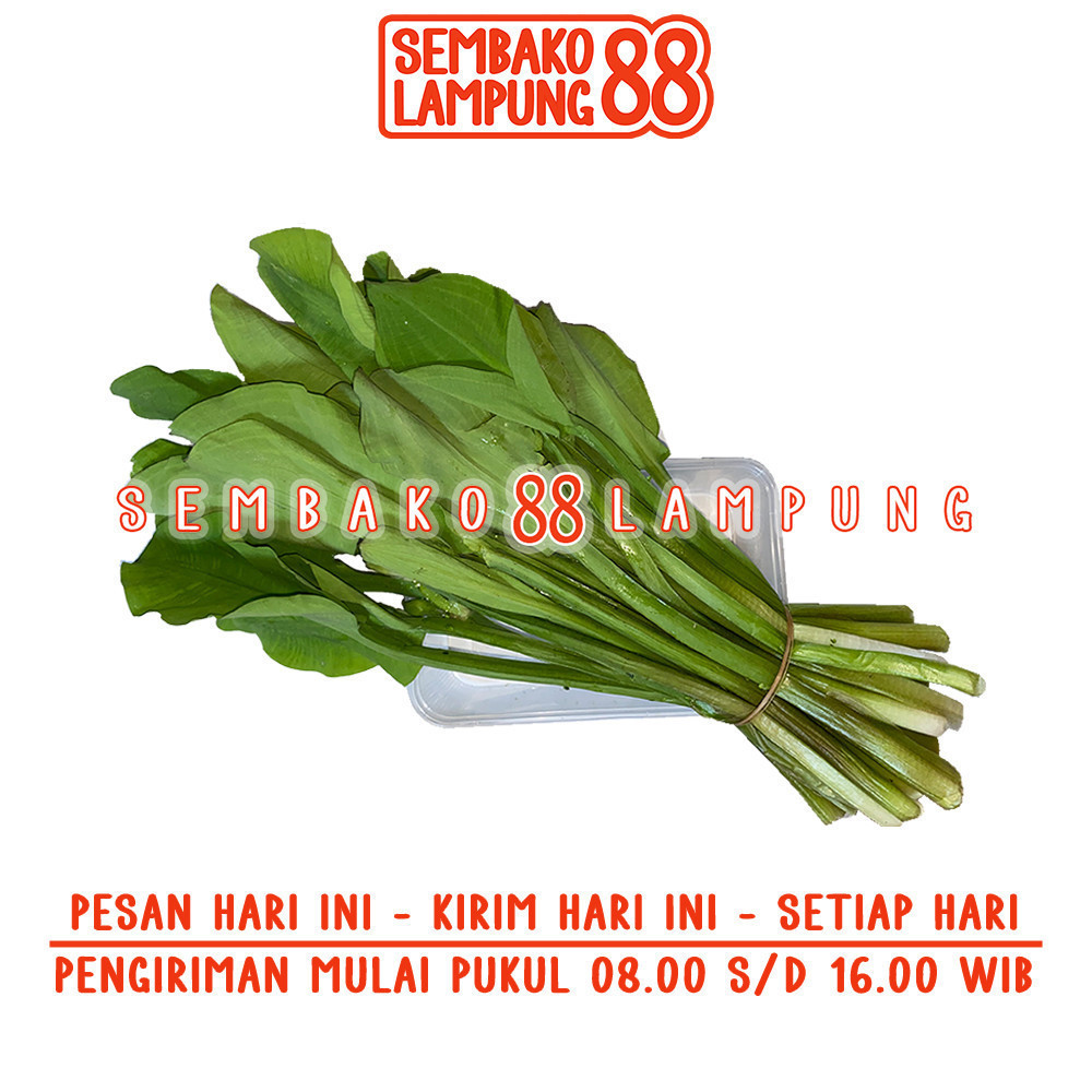 

Daun Genjer 1 Ikat | Sembako Lampung 88