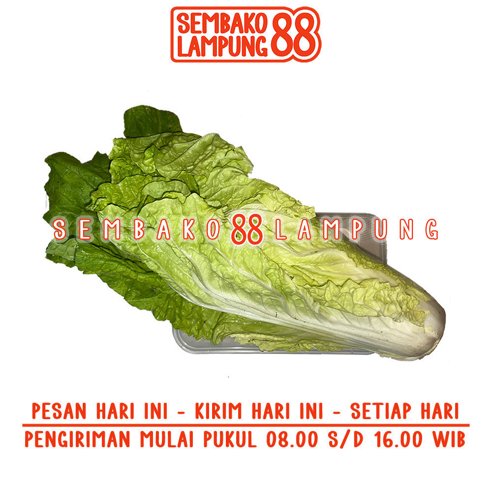 

Sawi Putih 250 Gr | Sembako Lampung 88