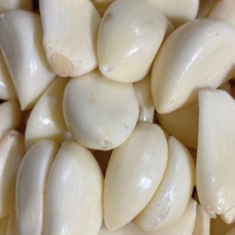 

PROMO Bawang Putih Honan Lepas Kulit 500 Gr / 1 Kg - Shuffel BERKUALITAS