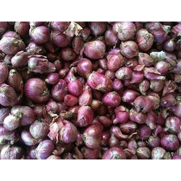 

TERLARIS Bawang Merah Besar Sedang Super Kering 1/2Kg Fresh Dari Petani - MURAH