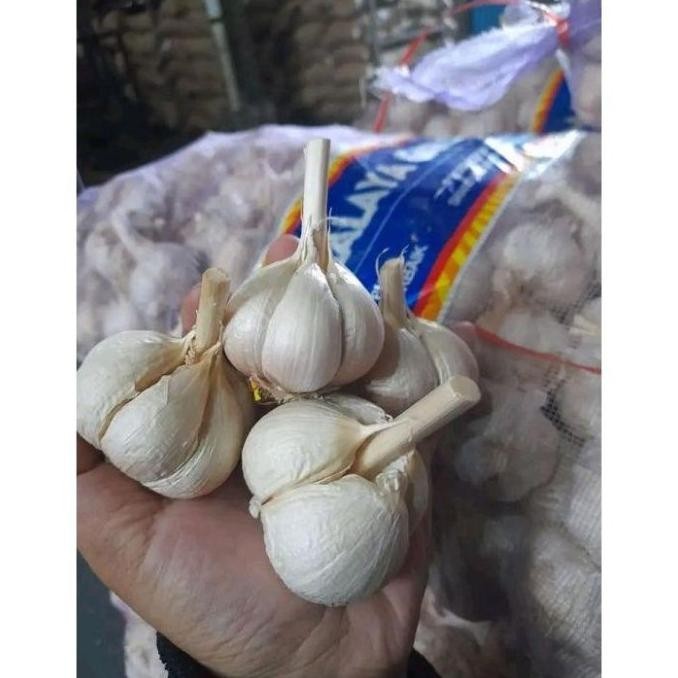 

TERMURAH Bawang Putih Kating 1 Kg Kwalitas Premium - Shuffel BAGUS