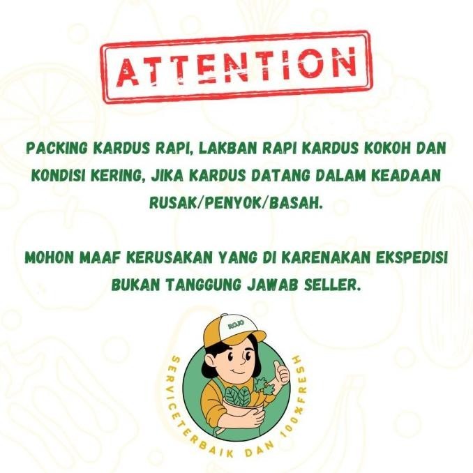 

BERKUALITAS Bawang Putih Honan Lepas Kulit 500 Gr / 1 Kg - Shuffel MURAH