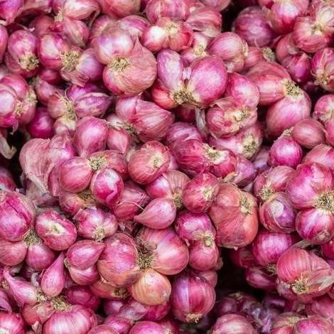 

BARU Bawang Merah Besar 150 Gr | Sedang 200 Gr | Kecil 350 Gr Kering - TERJAMIN