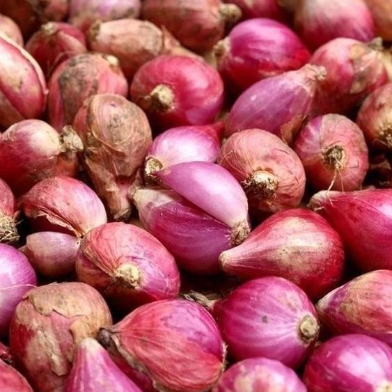 

BARU Bawang Merah Sedang 1 Kg Berkwalitas Kering - Shuffel TERJAMIN