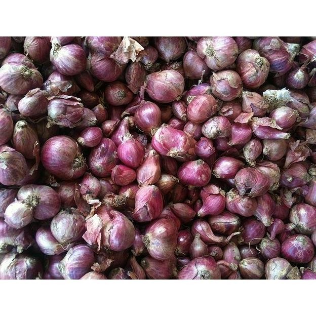 

BERKUALITAS Bawang Merah Besar Sedang Super Kering 1/2Kg Fresh Dari Petani - MURAH
