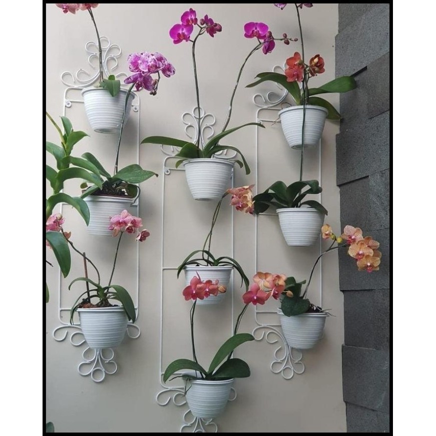 Best Price Standing Pot Dinding Anggrek / Rak Bunga Besi Tempel