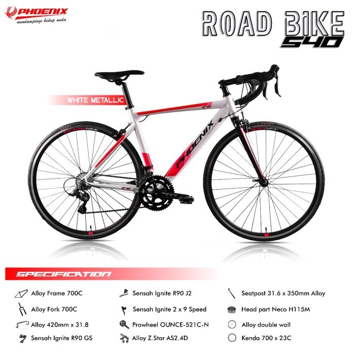 roadbike 700C PHOENIX 540 Alloy 2x9 Speed