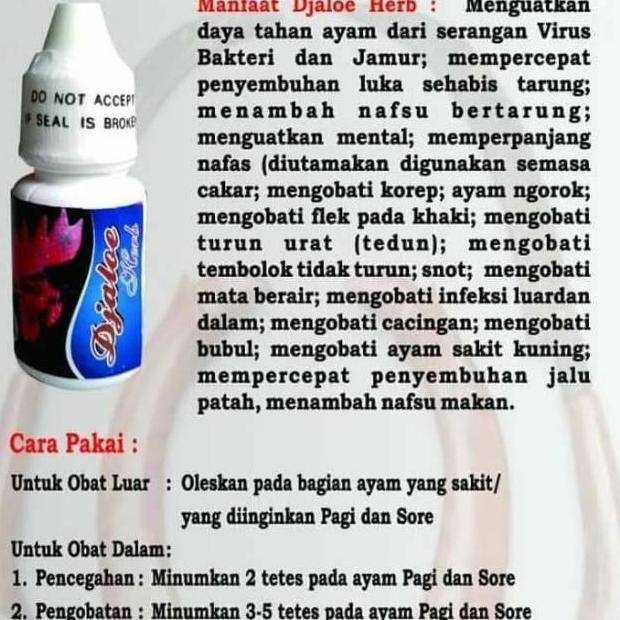 6.6 Djaloe Herbal - Ayam Sakit Apapun - Sakit Ngorok