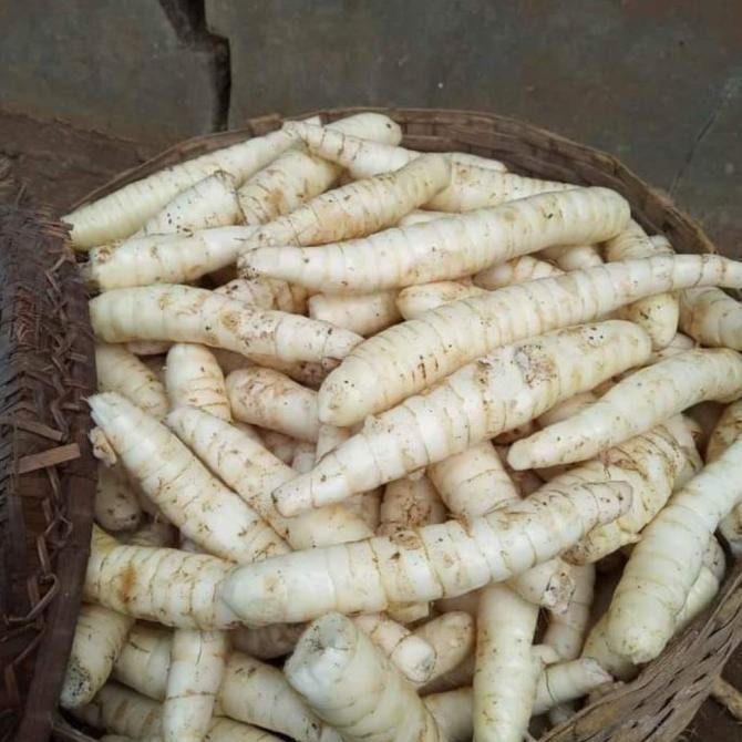 

tepung Garut asli 1kg pati irut asam lambung E88A