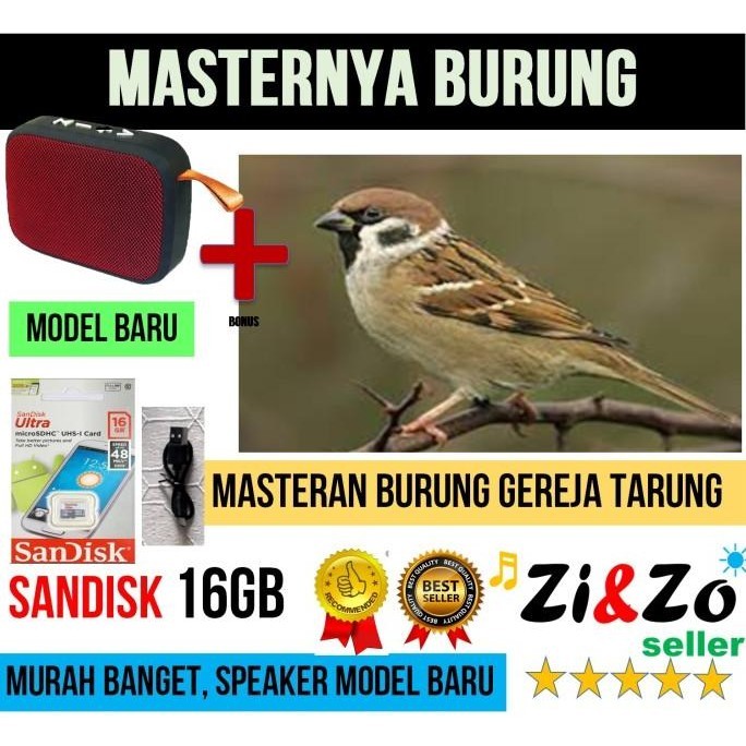 Mainan Burung / Masteran Burung Gereja Tarung Gacor Termurah