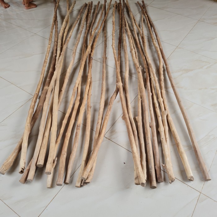 Panjang 2 Meter Kayu Kopi Tangkringan Burung