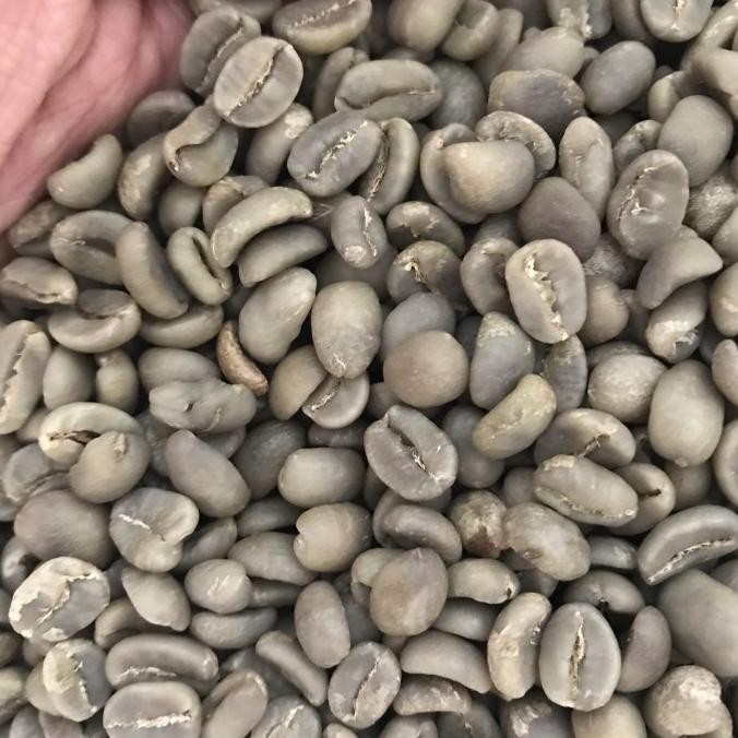 

Green Bean Arabika Gayo Luwak Liar