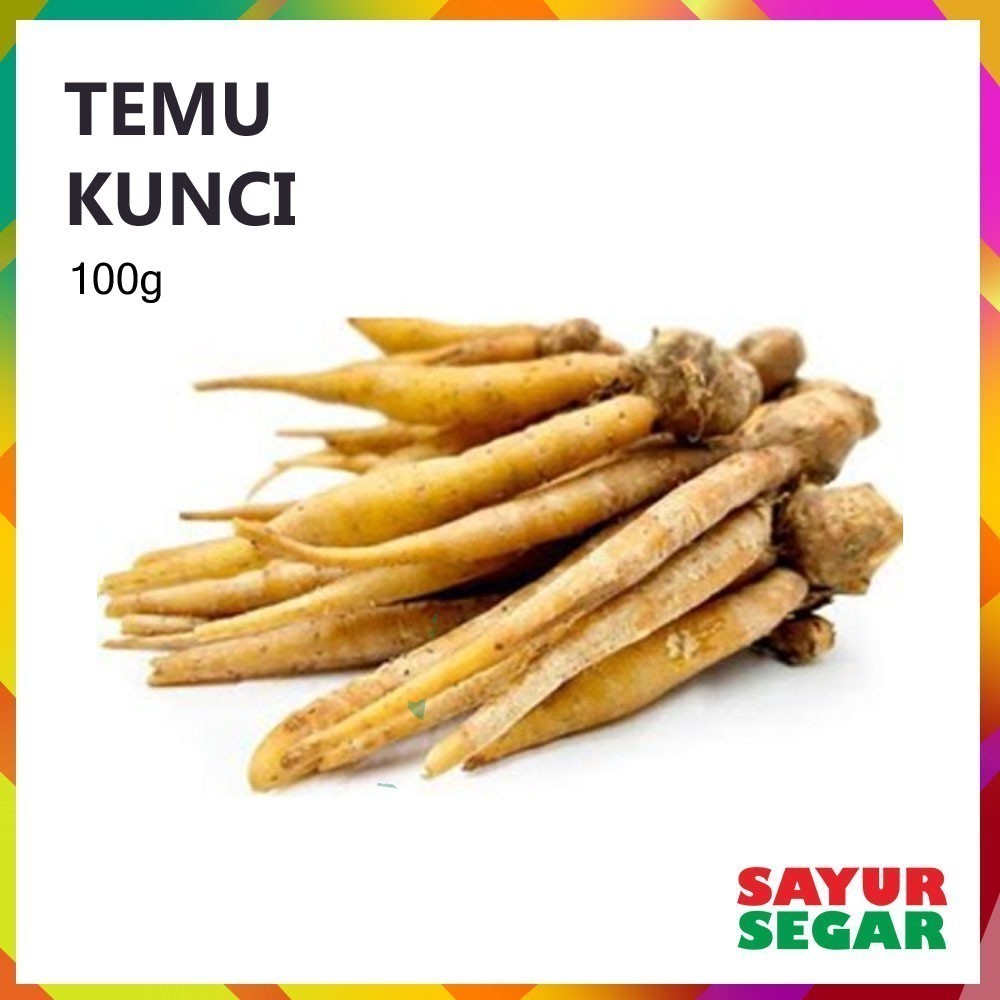 

Temu Kunci 100G Fresh