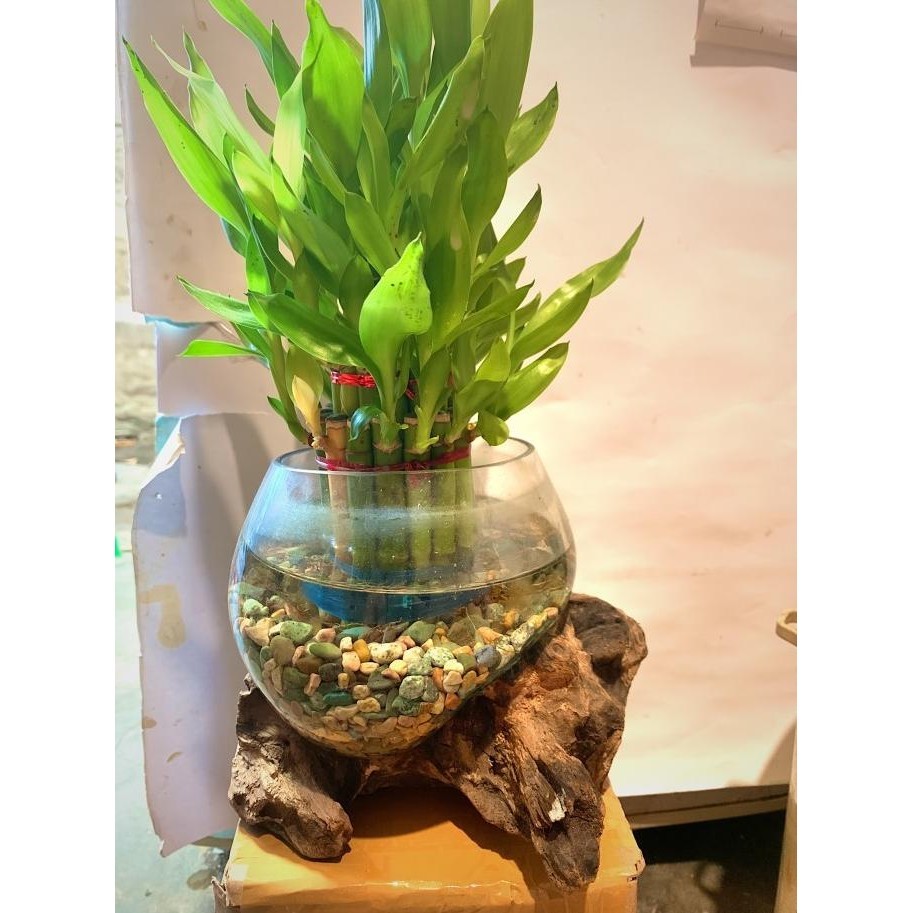 TERMURAH - vas bunga kaca tiup