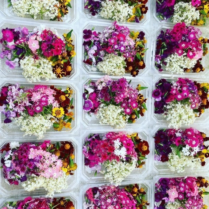 

Best Seller Edible Fresh Flowers Mix - Bunga Segar Bisa Dimakan K01