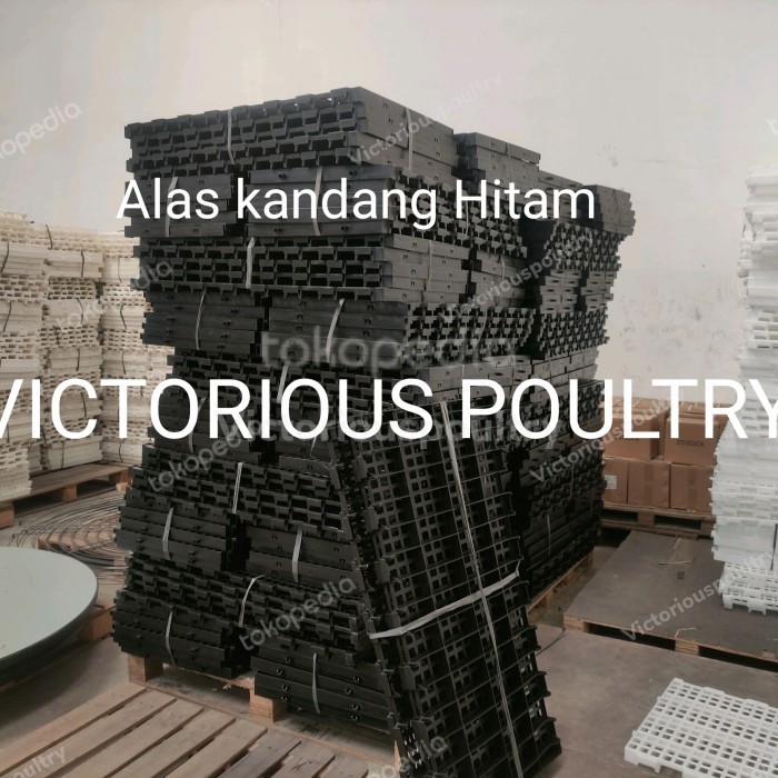 Slat Plastik Hitam Alas Kandang Plastik Domba/Ayam/Kambing/Ikan/Anjing
