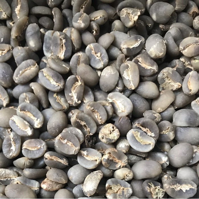 

Green Bean Gayo Arabika Wet Hulled