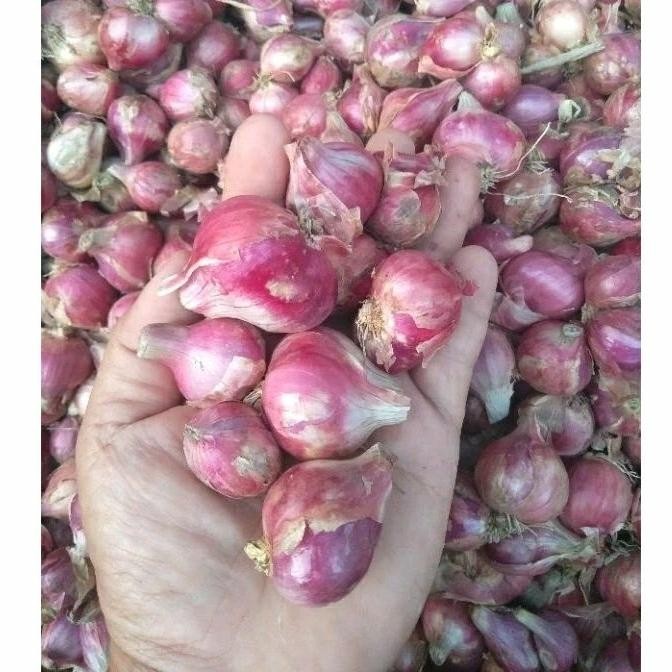 

bawang merah bumbu uk sedang 1kg bamer nganjuk Kualitas Terbaik