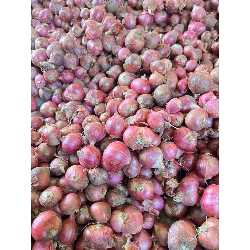 

BAWANG MERAH TANGGUNG CAMPUR 1 Kg - TAJUK NGANJUK GRADE B Super Besar Berkualitas