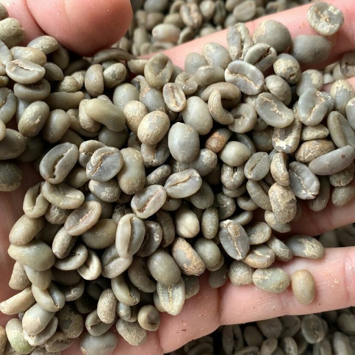 

Ready Arabica Fullwash Rancabali Specialty Greenbean 1Kg Biji Kopi Jawabarat