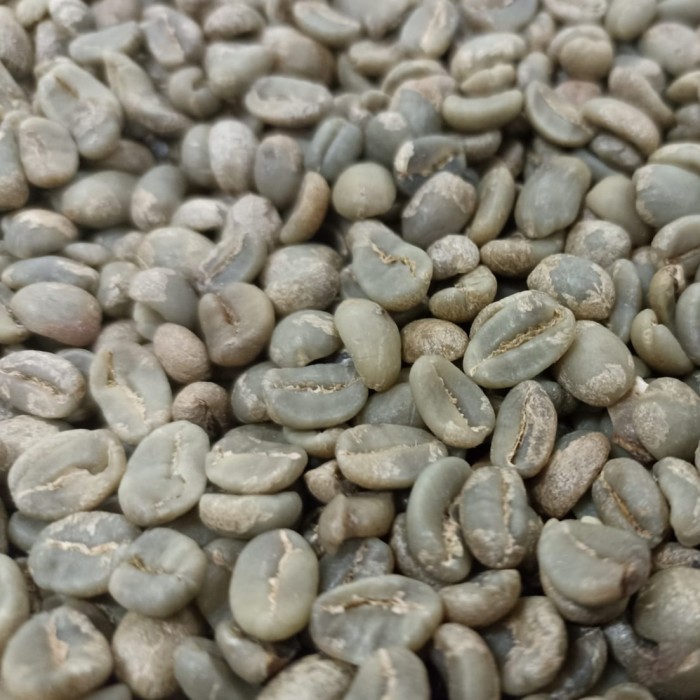 

Ready Kopi Green Bean Arabica Ijen Full Wash Grade 1