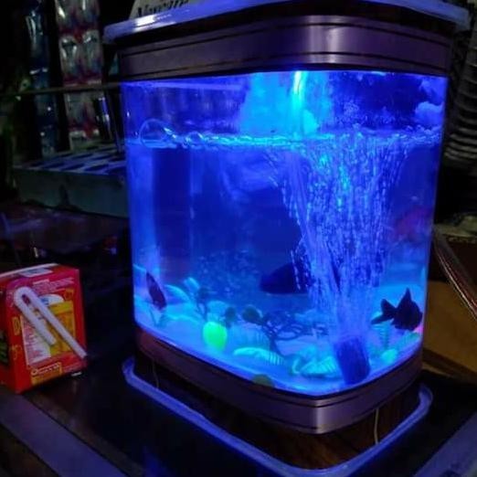 TERMURAH - paket aquarium mini lengkap murah