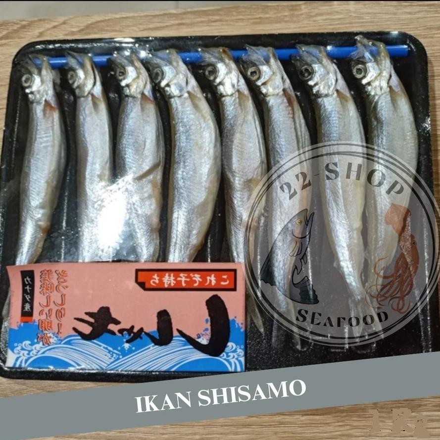 

fx-76 Ikan Shisamo - Shisamo Fish - Ikan Capelin - Besar DAN Telur Viral
