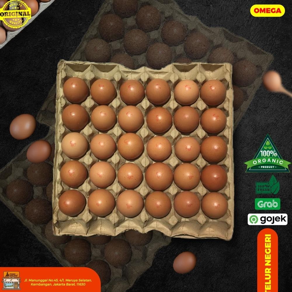 

hj-54 Telur OMEGA 30 Butir Termurah