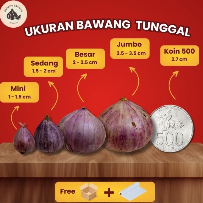 

READY STOCK BAWANG PUTIH TUNGGAL LANANG JAMIN BAGUS 1KG !!!!!