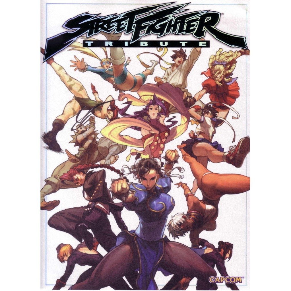 

Street Fighter Tribute ( D )