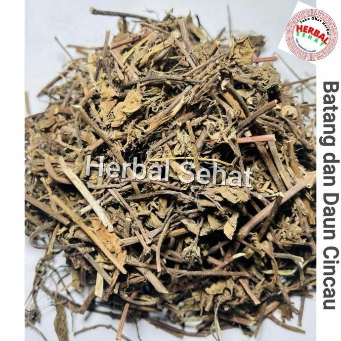 

TERBARU 1KG 1 KG 1000 G GR GRAM DAUN CINCAU HITAM KERING LENGKONG LENG KONG !!!!!