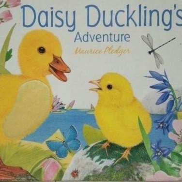 Import Book Children Book Board Book - Daisy Ducklings Adventure