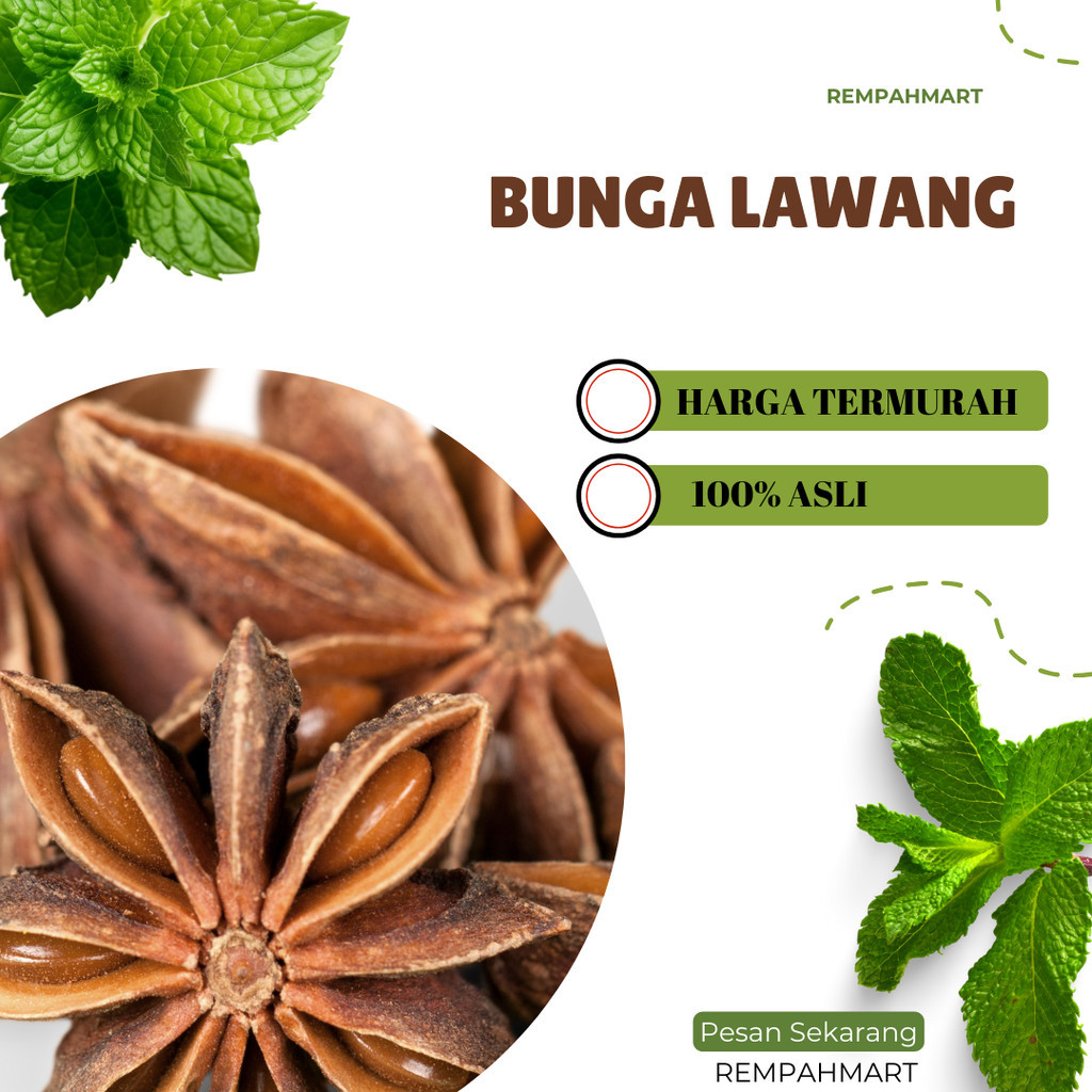 

Rempah Bunga Lawang 50g 100g Asli / Pekak Bunga Lawang / Rempahmart