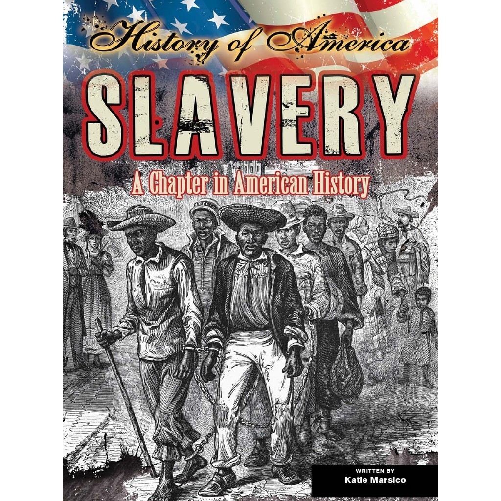 

History of America - Slavery ( D )
